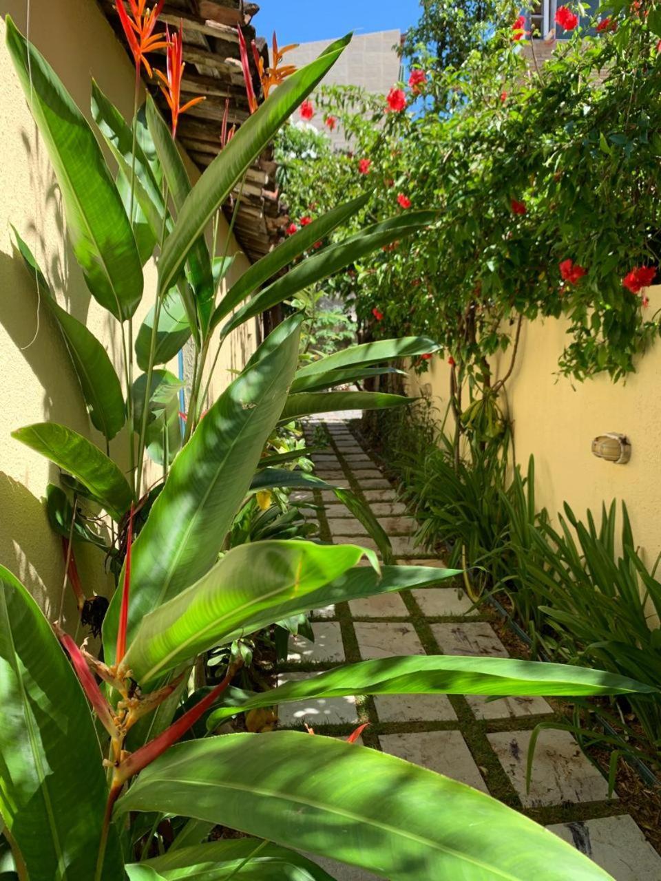 Chales Pulo Do Gato Canoa Quebrada Exterior foto